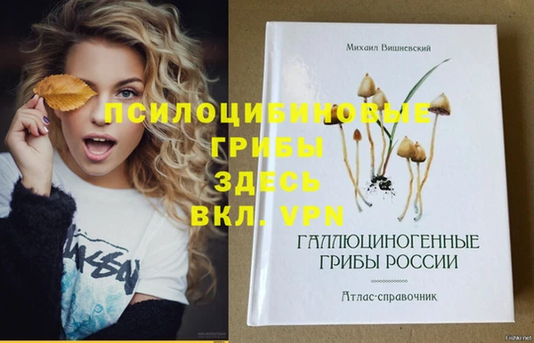 прущие грибы Армянск