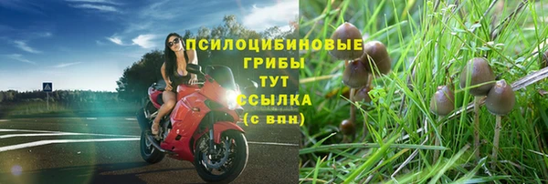 метадон Арсеньев