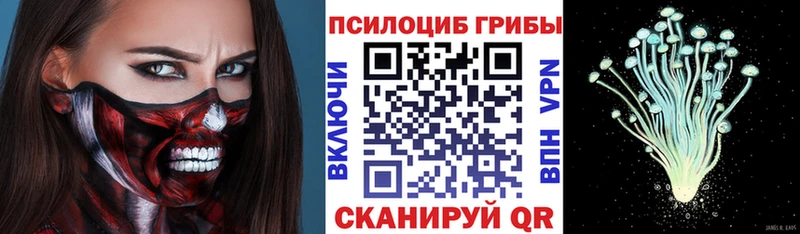 Галлюциногенные грибы Cubensis купить наркоту Ипатово
